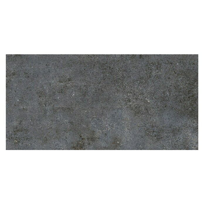 My Home Feinsteinzeugfliese (30 x 60 cm, Multi, Matt) | BAUHAUS