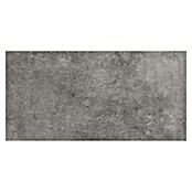 My Home Feinsteinzeugfliese (30 x 60 cm, Dunkelgrau, Matt) | BAUHAUS