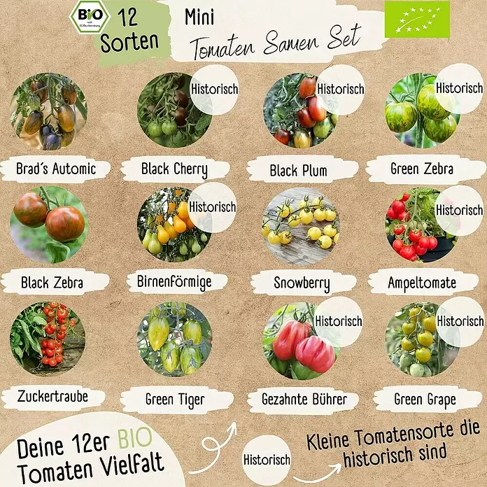 Gemüsesamen Mini-Tomatensamen Set - 12 Stk., Solanum lycopersicum, Erntezeit: Juli - Bio-Samen-Set mit 12 Mini-Tomatensorten, darunter historische und moderne Varietäten.