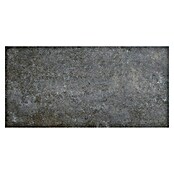 My Home Feinsteinzeugfliese (30 x 60 cm, Multi, Matt) | BAUHAUS