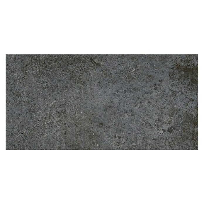 My Home Feinsteinzeugfliese (30 x 60 cm, Multi, Matt) | BAUHAUS