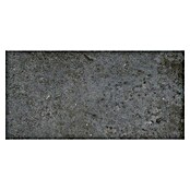 My Home Feinsteinzeugfliese (30 x 60 cm, Multi, Matt) | BAUHAUS
