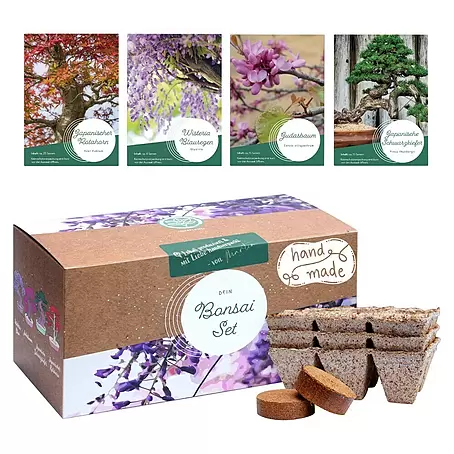 Bonsai Starter Set