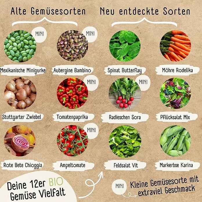 Gemüsesamen Balkon & Hochbeetgemüse Samen Set - 12 Stk., Gemüse Samen Mix - Auswahl von 12 Bio-Gemüsesorten, darunter Mini-Varianten, präsentiert als alte und neu entdeckte Sorten.