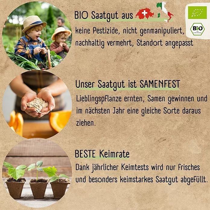 Gemüsesamen Balkon & Hochbeetgemüse Samen Set - 12 Stk., Gemüse Samen Mix - Werbebild für Bio-Samen: spielende Kinder, Hände mit Kürbiskernen und Setzlinge, die Qualität und Nachhaltigkeit betonen.