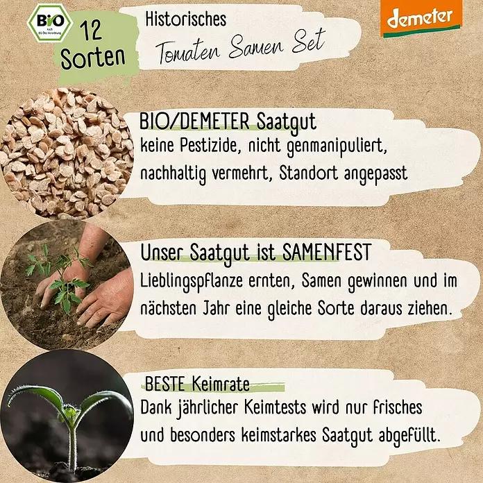 Gemüsesamen Demeter Historisches Tomaten - 12 Stk., Solanum lycopersicum, Erntezeit: Juli - Ein Set mit 12 historischen BIO/DEMETER Tomatensorten. Beschreibt pestizidfreie, samenfestes Saatgut mit hoher Keimrate für den Anbau.
