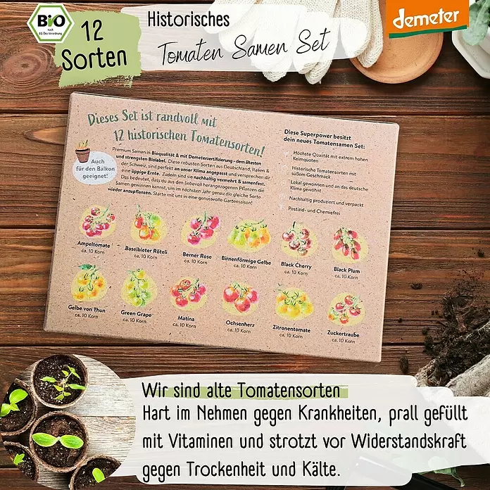 Gemüsesamen Demeter Historisches Tomaten - 12 Stk., Solanum lycopersicum, Erntezeit: Juli - Kartonbox für ein Bio-Tomatensamen-Set mit 12 historischen Sorten, Pflanzinfos und Tomatenillustrationen.