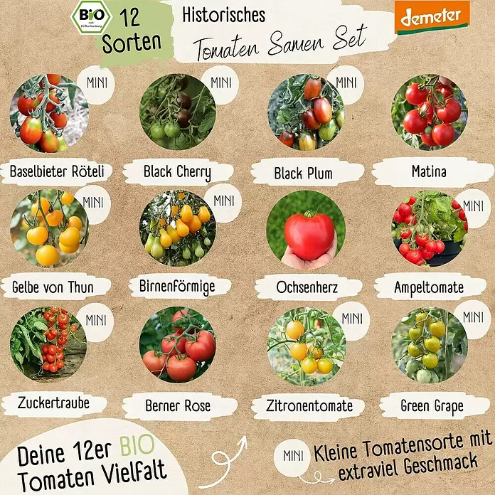 Gemüsesamen Demeter Historisches Tomaten - 12 Stk., Solanum lycopersicum, Erntezeit: Juli - Set aus 12 historischen und biologischen Tomatensorten, darunter Mini-Tomaten, in verschiedenen Formen, Größen und Farben.