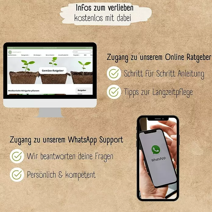 Gemüsesamen Balkon & Hochbeetgemüse Samen Set - 12 Stk., Gemüse Samen Mix - Grafik mit Computer (Pflanzen-Ratgeber-Webseite) und Smartphone (WhatsApp), die Zugang zu Online-Pflanzentipps und -Support darstellt.