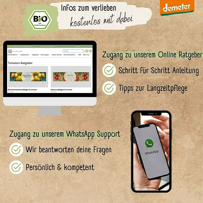 Gemüsesamen Demeter Historisches Tomaten - 12 Stk., Solanum lycopersicum, Erntezeit: Juli - Desktop-Monitor mit Pflanzenratgeber und Smartphone mit WhatsApp-Logo, symbolisiert Online-Support und Pflegetipps.