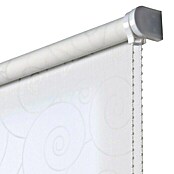 Estor enrollable Roll-up (An x Al: 80 x 250 cm, Blanco, Traslúcido)