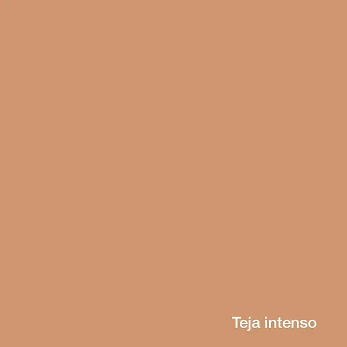 Montó Bricolovers Pintura para fachadas de acrilato puro - Teja, 12 l - Tonalidad Teja Intenso. Un color cálido y terroso, perfecto para interiores acogedores y acentos invitantes.