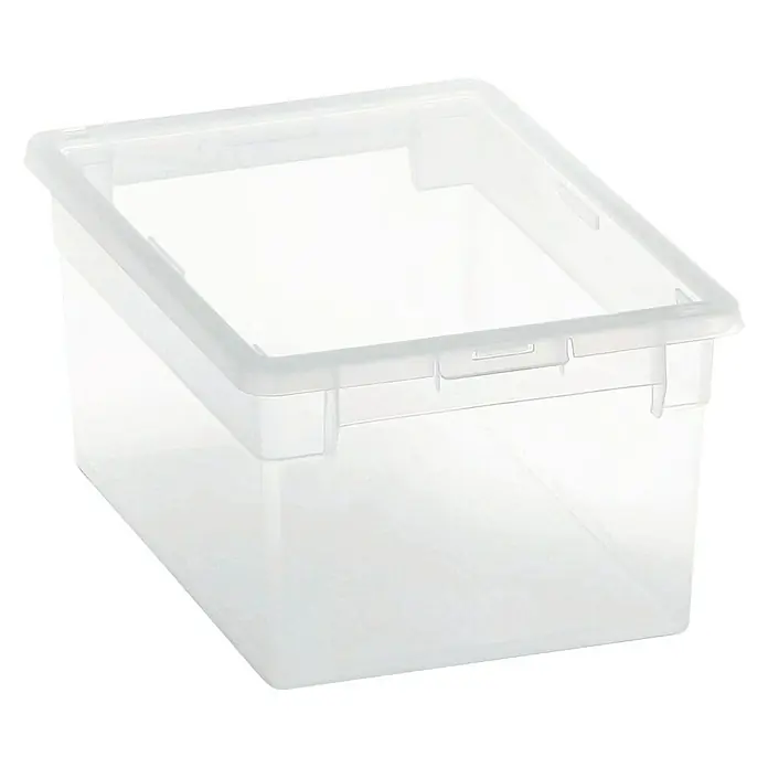 Terry Light Box Caja de almacenaje - 19,5 x 28 x 13,2 cm, Capacidad volumétrica: 6 l - Caja de almacenamiento de plástico transparente, ideal para organizar objetos en toda la casa.