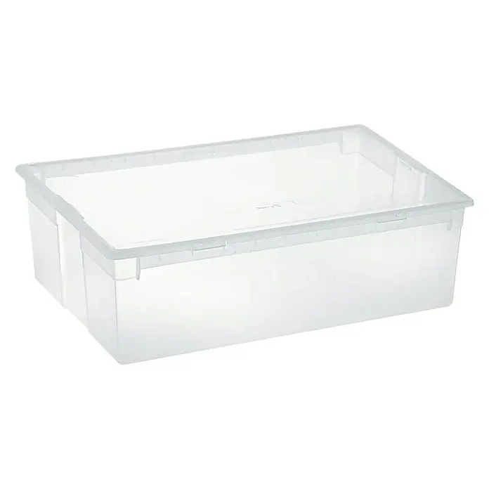 Terry Light Box Caja de almacenaje - 57,8 x 39,6 x 18,5 cm, Capacidad volumétrica: 36 l - Caja de almacenamiento de plástico transparente con tapa, ideal para guardar varios artículos y organizar tu hogar.