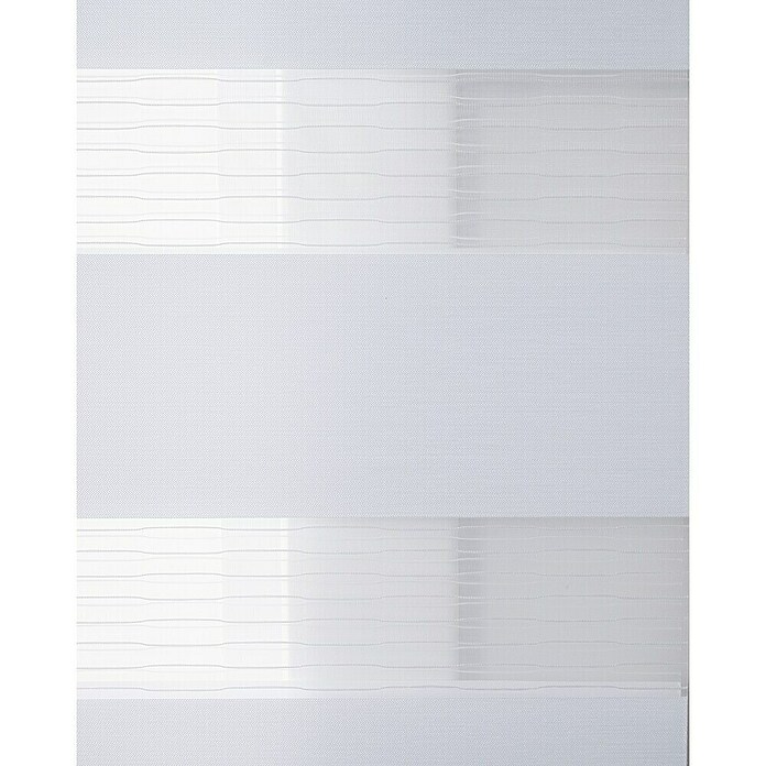 Estor noche y día Premium (An x Al: 200 x 250 cm, Blanco) | BAUHAUS