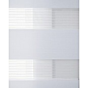 Estor noche y día Premium (An x Al: 200 x 250 cm, Blanco) | BAUHAUS