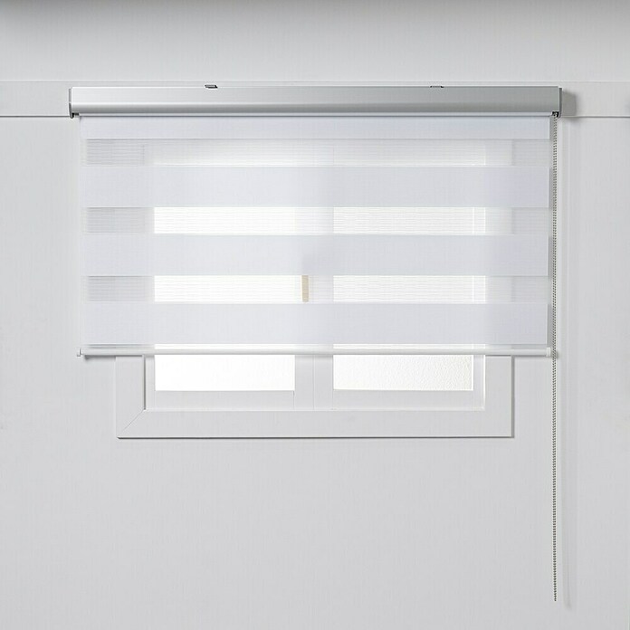 Estor noche y día Premium (An x Al: 200 x 250 cm, Blanco) | BAUHAUS