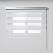 Estor noche y día Premium (An x Al: 200 x 250 cm, Blanco) | BAUHAUS