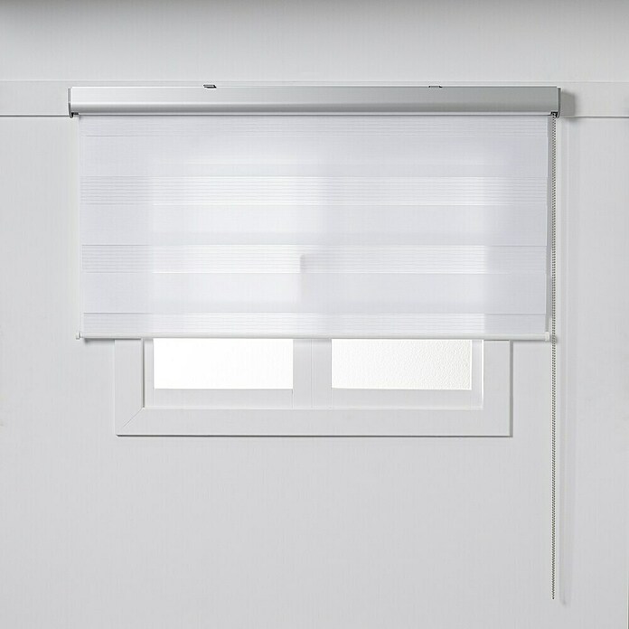 Estor noche y día Premium (An x Al: 200 x 250 cm, Blanco) | BAUHAUS