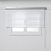 Estor noche y día Premium (An x Al: 200 x 250 cm, Blanco) | BAUHAUS