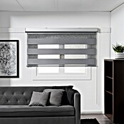Estor noche y día Premium (An x Al: 135 x 250 cm, Gris) | BAUHAUS