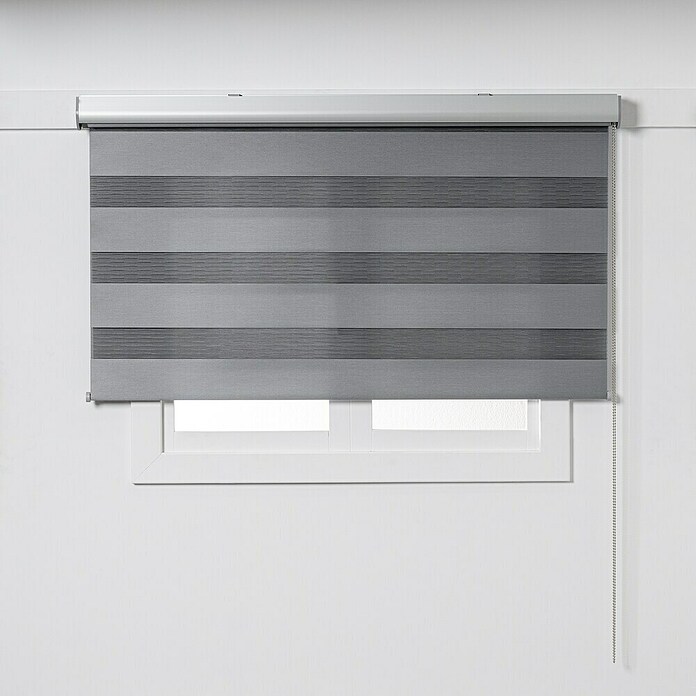 Estor noche y día Premium (An x Al: 135 x 250 cm, Gris) | BAUHAUS