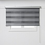 Estor noche y día Premium (An x Al: 135 x 250 cm, Gris) | BAUHAUS