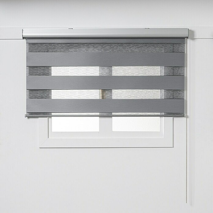 Estor noche y día Premium (An x Al: 135 x 250 cm, Gris) | BAUHAUS