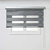Estor noche y día Premium (An x Al: 135 x 250 cm, Gris) | BAUHAUS