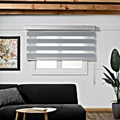 Estor noche y día Luxury (An x Al: 165 x 250 cm, Gris) | BAUHAUS