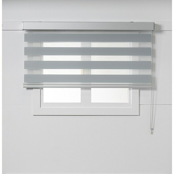 Estor noche y día Luxury (An x Al: 165 x 250 cm, Gris) | BAUHAUS