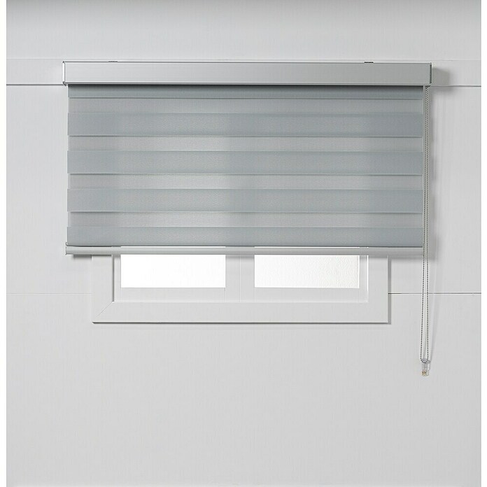 Estor noche y día Luxury (An x Al: 165 x 250 cm, Gris) | BAUHAUS