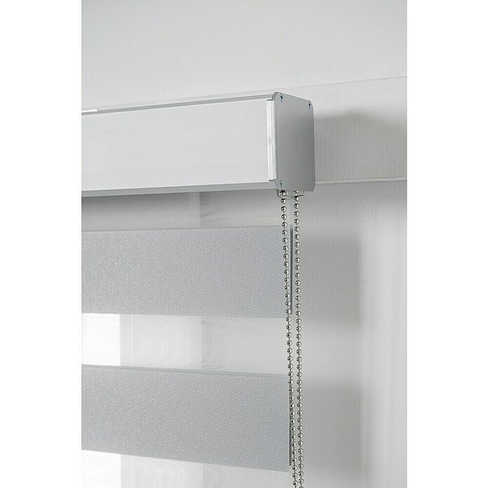 Estor noche y día Luxury (An x Al: 165 x 250 cm, Gris) | BAUHAUS