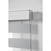 Estor noche y día Luxury (An x Al: 165 x 250 cm, Gris) | BAUHAUS