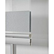 Estor noche y día Luxury (An x Al: 165 x 250 cm, Gris) | BAUHAUS