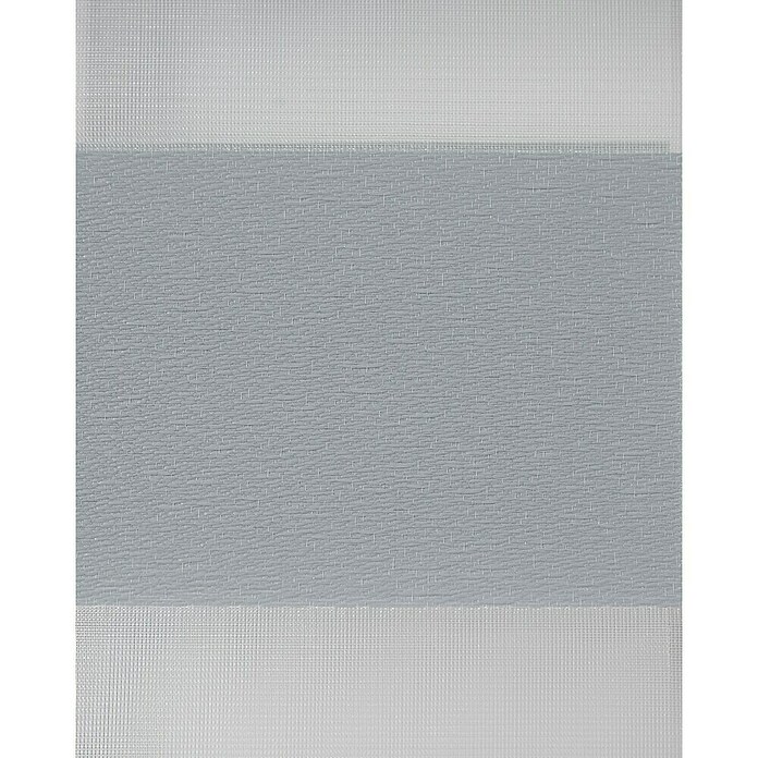 Estor noche y día Luxury (An x Al: 165 x 250 cm, Gris) | BAUHAUS