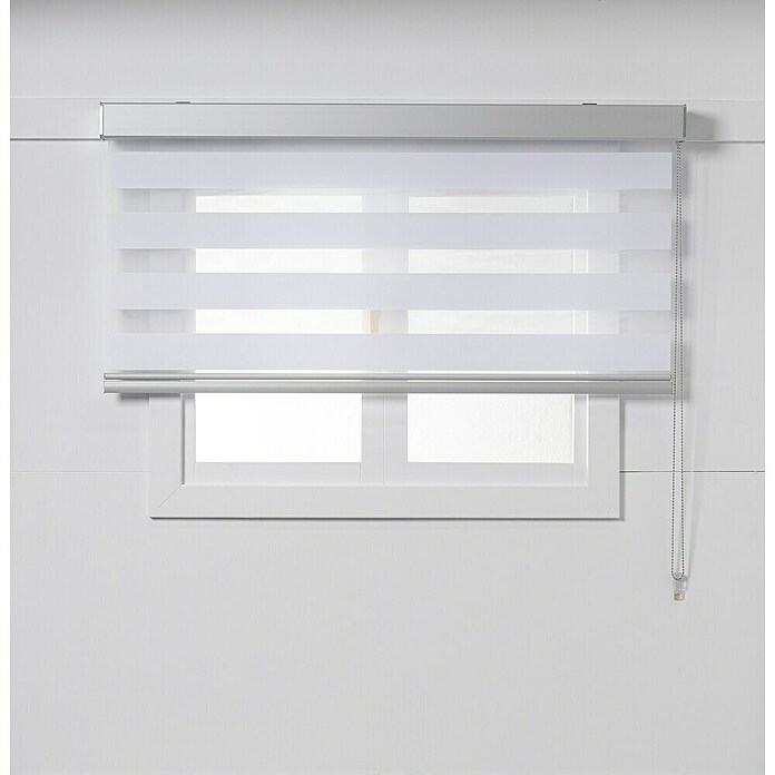 Estor noche y día Luxury (An x Al: 165 x 250 cm, Blanco) | BAUHAUS