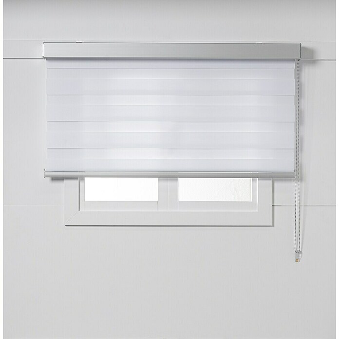 Estor noche y día Luxury (An x Al: 165 x 250 cm, Blanco) | BAUHAUS