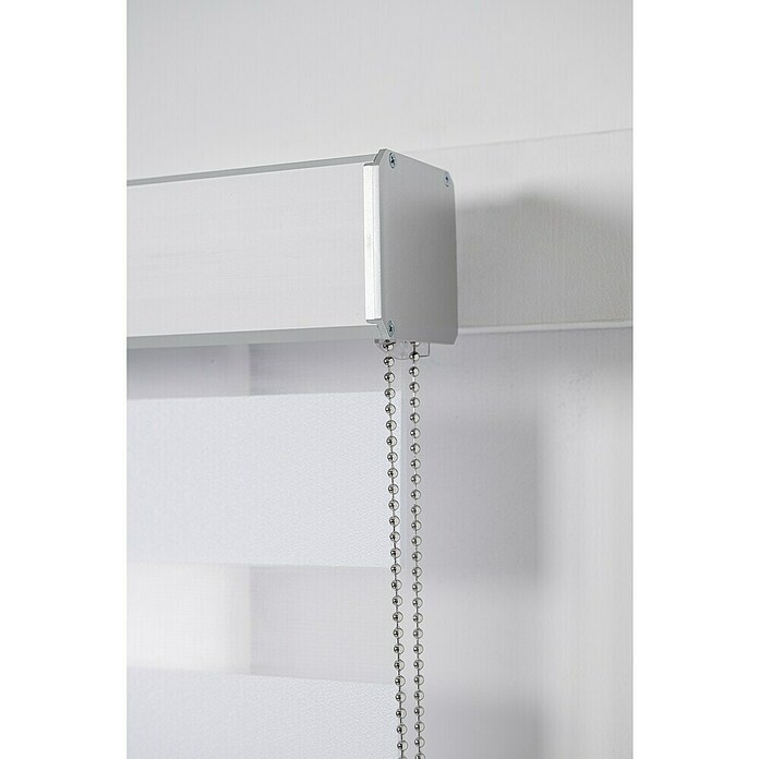 Estor noche y día Luxury (An x Al: 165 x 250 cm, Blanco) | BAUHAUS
