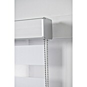 Estor noche y día Luxury (An x Al: 165 x 250 cm, Blanco) | BAUHAUS