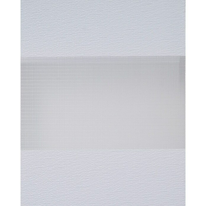 Estor noche y día Luxury (An x Al: 165 x 250 cm, Blanco) | BAUHAUS