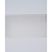 Estor noche y día Luxury (An x Al: 165 x 250 cm, Blanco) | BAUHAUS