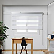 Estor noche y día Premium (An x Al: 200 x 250 cm, Blanco) | BAUHAUS