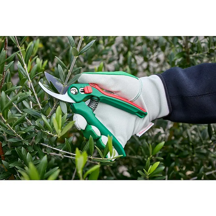 Gardol Classic Gartenschere GDB16 - Bypass, Max. Aststärke: 16 mm - Eine Hand mit Gartenhandschuh schneidet mit einer grünen Gartenschere einen Olivenbaum. Die Schere ist scharf und bereit für den Einsatz.