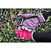 Gardol Premium Snoeischaar GDB23 (Bypass, Max. takdikte: 23 mm, Geschikt voor: Rechtshandigen) | BAUHAUS