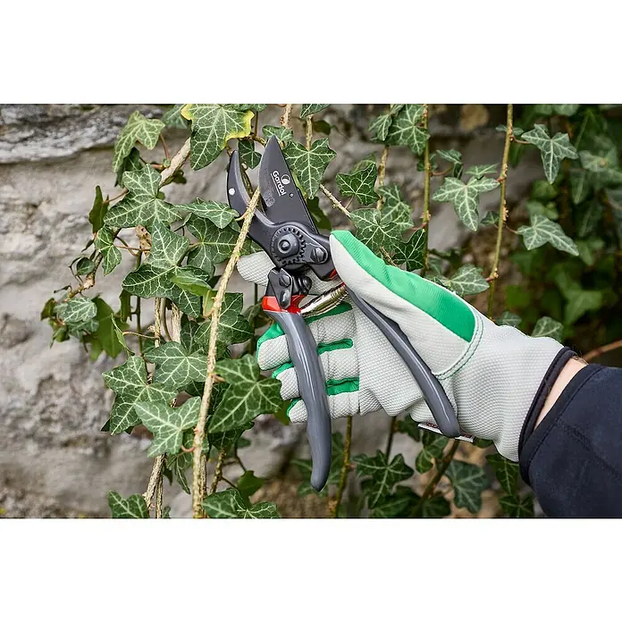 Gardol Premium Gartenschere GDB23L - Bypass, Max. Aststärke: 23 mm, Geeignet für: Linkshänder - Eine Hand mit Gartenhandschuh hält eine Gartenschere vor einer grünen Efeuwand, bereit zum Beschneiden.