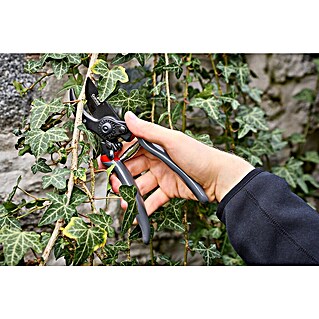 Gardol Premium Gartenschere GDB21 (Bypass, Max. Aststärke: 21 mm)