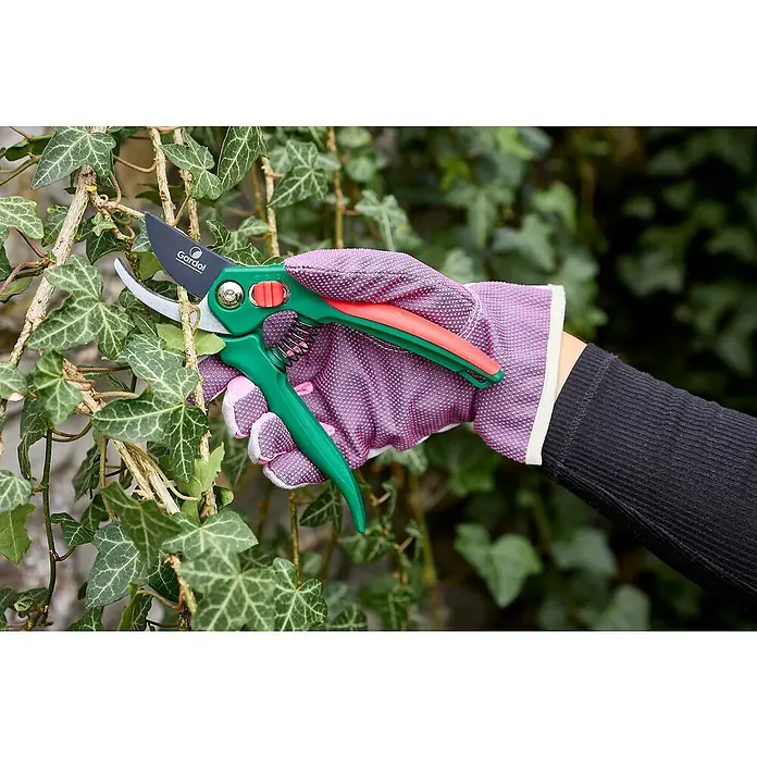 Gardol Classic Gartenschere GDB16 - Bypass, Max. Aststärke: 16 mm - Gartenschere im Einsatz, umgeben von grünen Efeublättern. Die Schere ist grün und rot mit einer silbernen Klinge und wird von einer Hand gehalten.