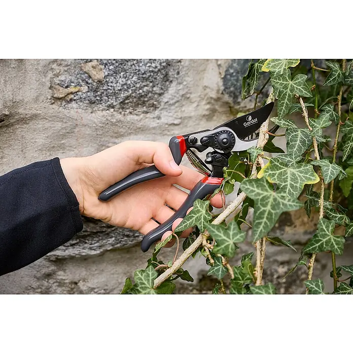 Gardol Premium Gartenschere GDB23L - Bypass, Max. Aststärke: 23 mm, Geeignet für: Linkshänder - Gartenschere im Einsatz: Präzise Schnitte mit einer hochwertigen Gartenschere für einen gepflegten Garten.