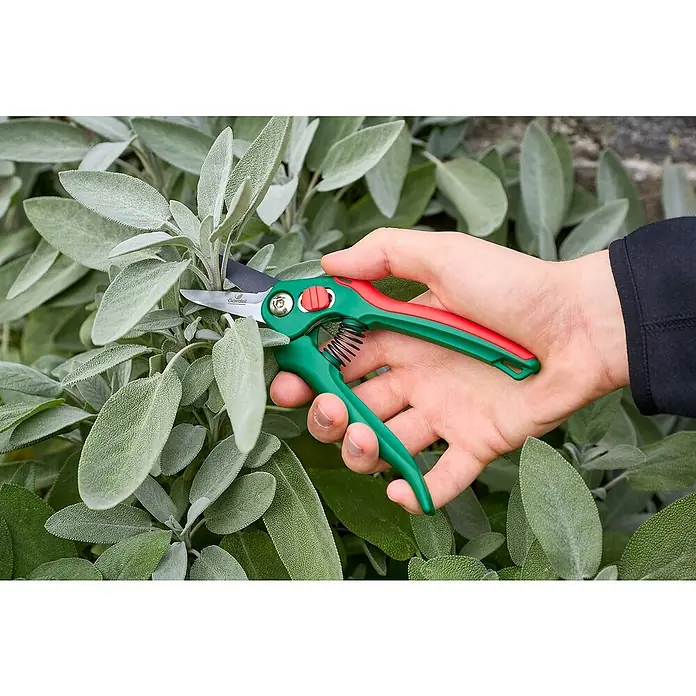 Gardol Classic Trimmschere GDB10 - Bypass, Max. Aststärke: 10 mm - Eine Hand schneidet mit einer grünen und roten Gartenschere Salbei im Garten. Die Schere ist scharf und präzise, ideal für Gartenarbeiten.